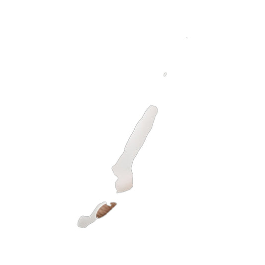 Collant convertibili Wish Dance Shop, ultrasoft in microfibra e spandex, colore bianco, ideale per danza classica.