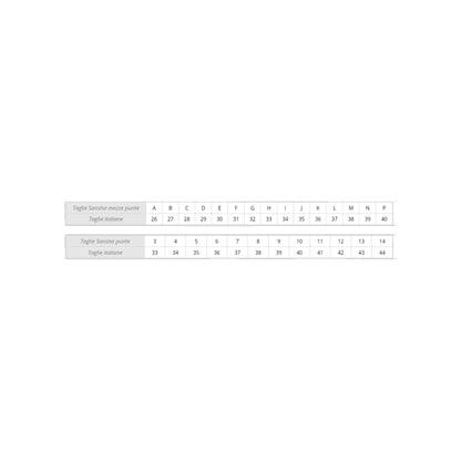 Punte da danza classica Sansha Debutante D101SP per principianti, con punta rigida e design resistente, ideale per studenti.