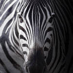 Load image into Gallery viewer, Jazz 03 Zebra - Jazz Shoe in Silk Satin Zebra Pattern Black Patent Profile
