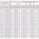 Load image into Gallery viewer, Grishko Grishko 2007 - Punta
